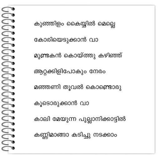 Picture of the product