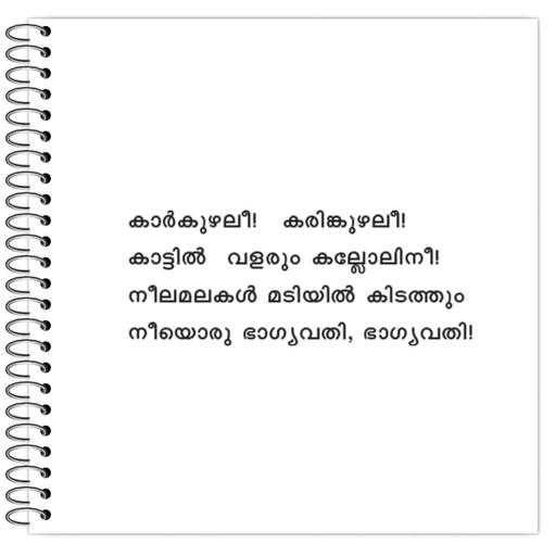 Picture of the product