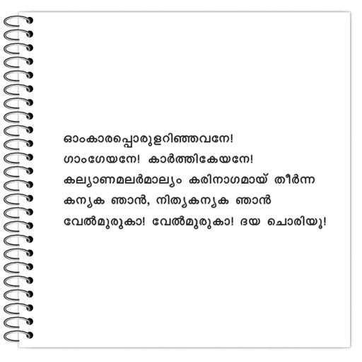 Picture of the product