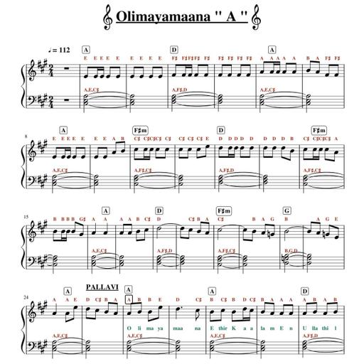 Picture of the product