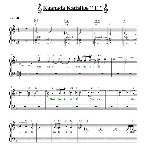 Picture of the product