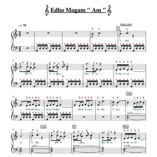 Picture of the product