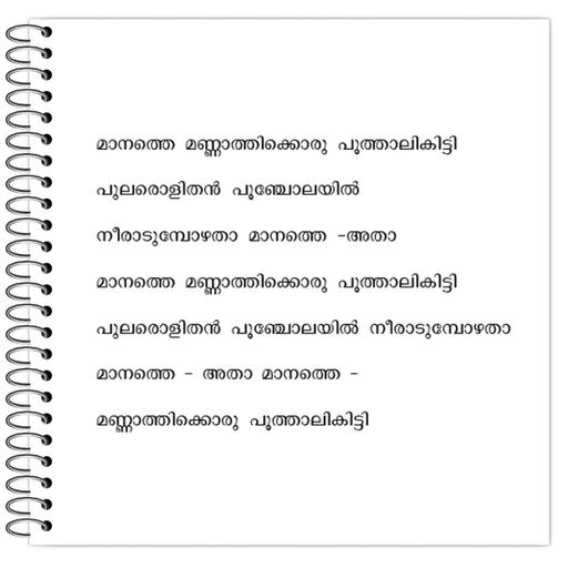 Picture of the product