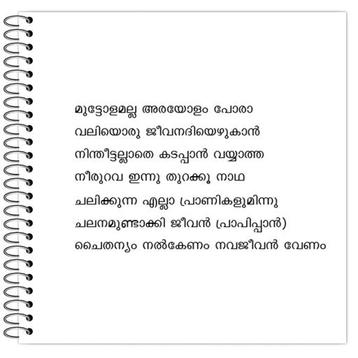 Picture of the product