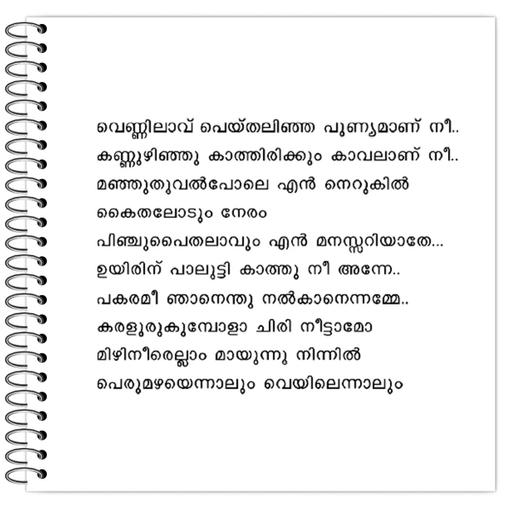 Picture of the product