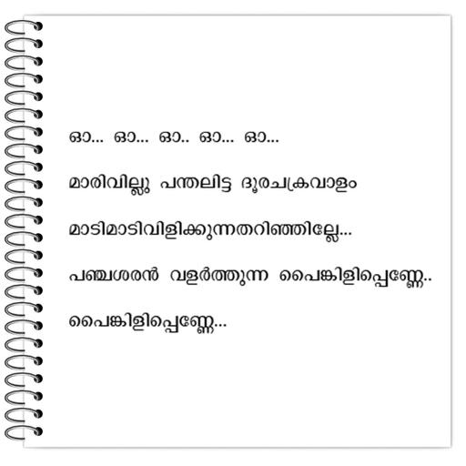 Picture of the product