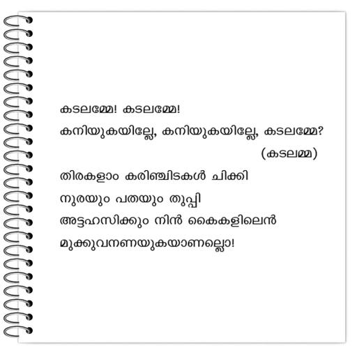 Picture of the product