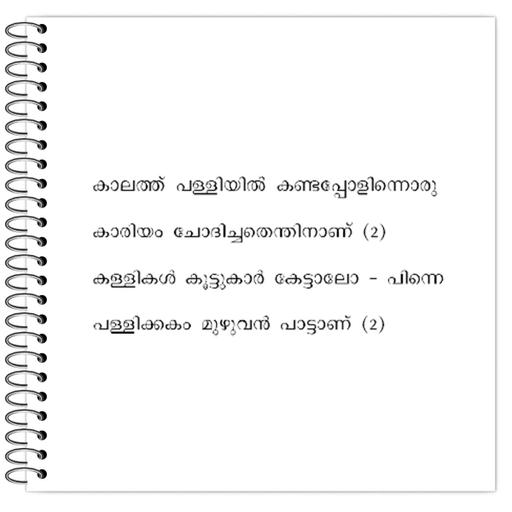 Picture of the product