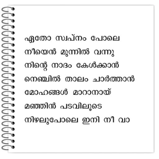 Picture of the product