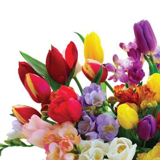 Picture of the product