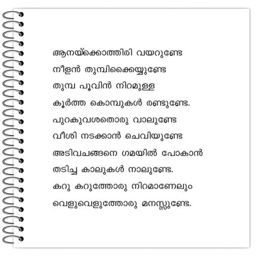 Picture of the product