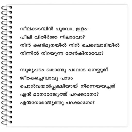 Picture of the product