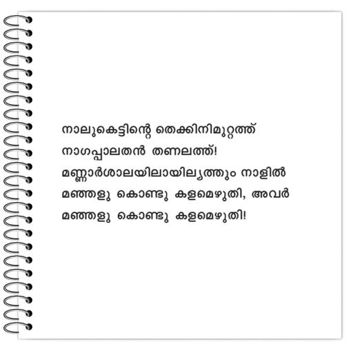 Picture of the product