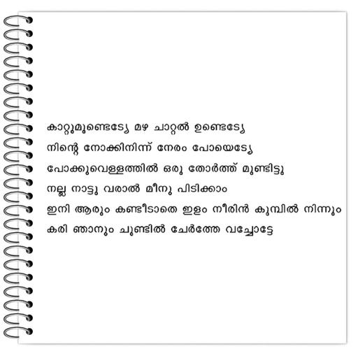 Picture of the product