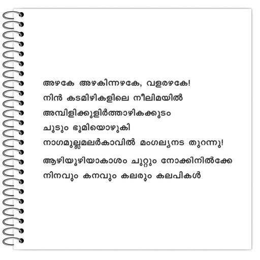 Picture of the product