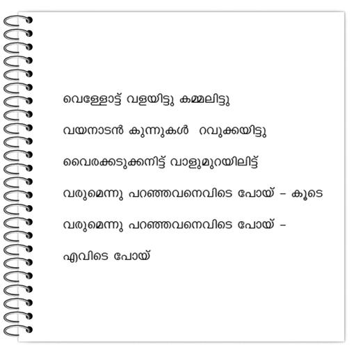 Picture of the product