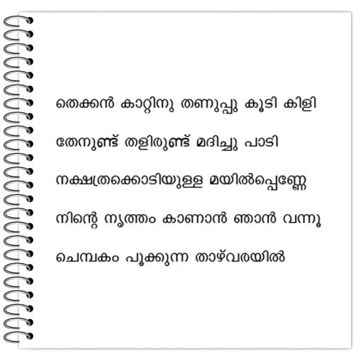 Picture of the product