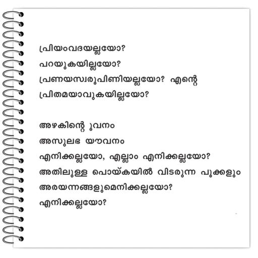 Picture of the product