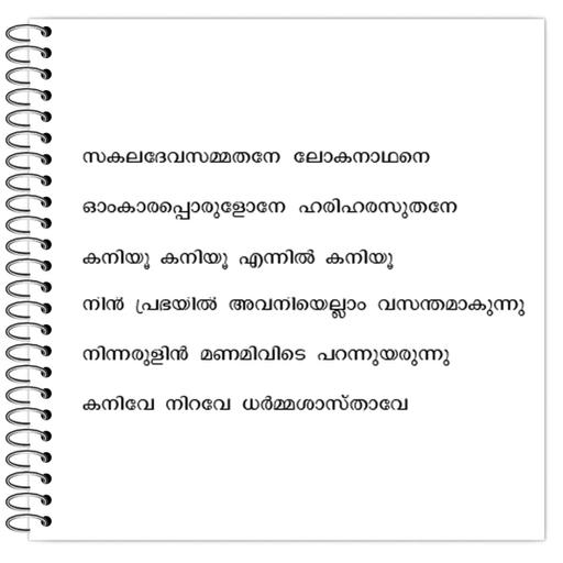 Picture of the product