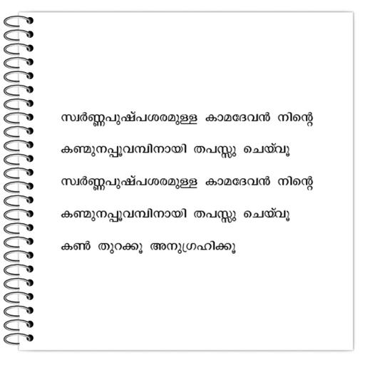 Picture of the product