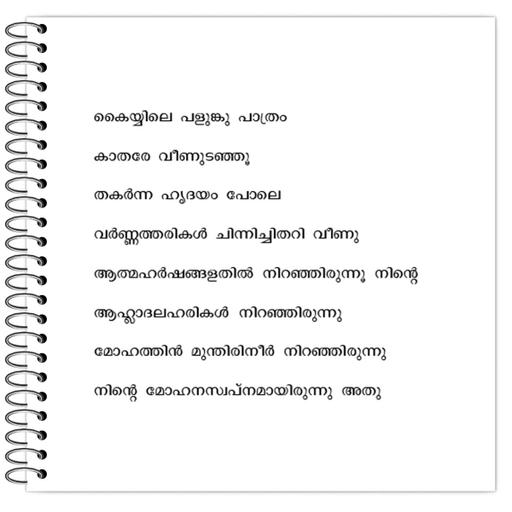 Picture of the product