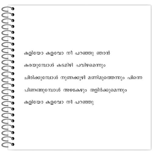 Picture of the product