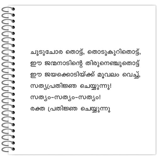 Picture of the product