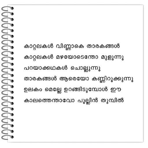 Picture of the product