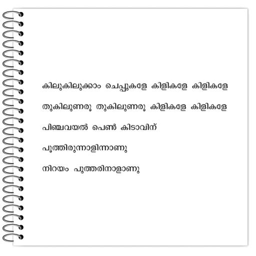 Picture of the product