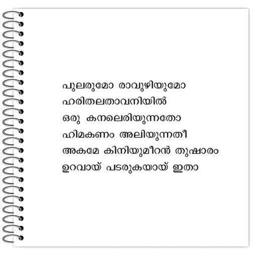 Picture of the product