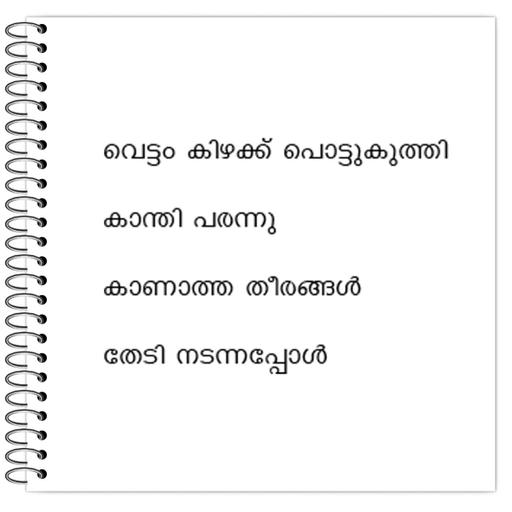 Picture of the product