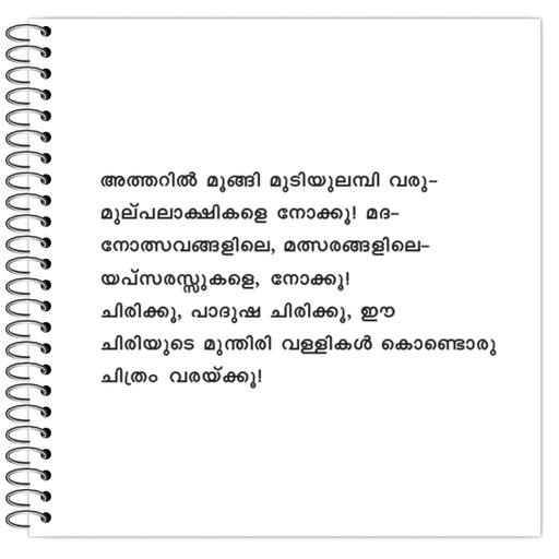 Picture of the product