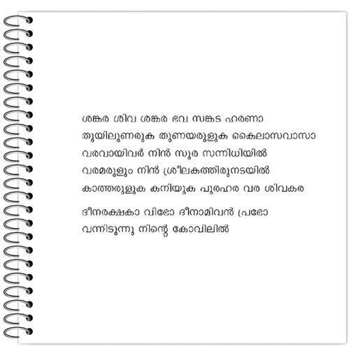 Picture of the product