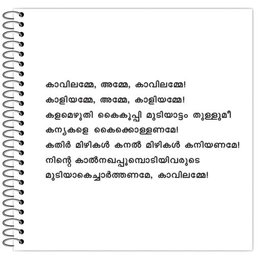 Picture of the product