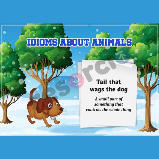 Picture of the product