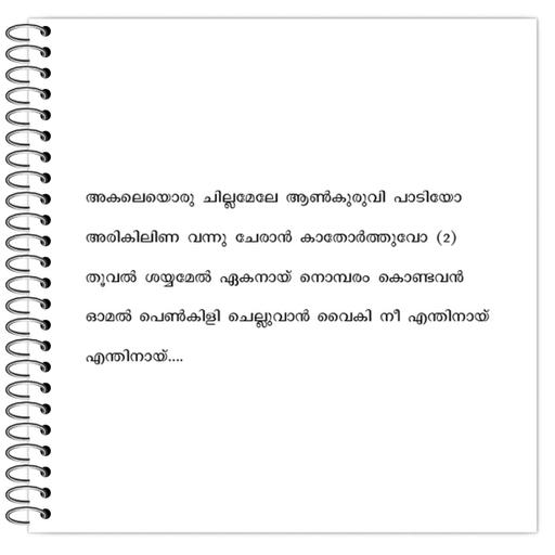 Picture of the product