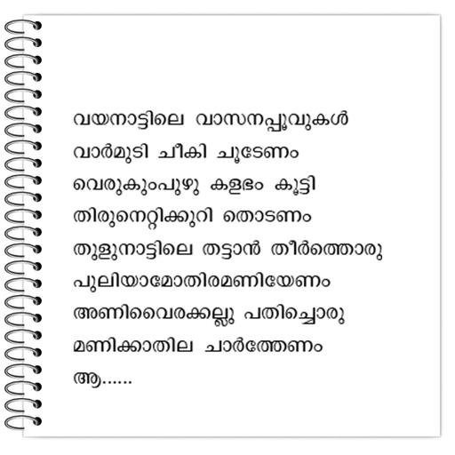 Picture of the product