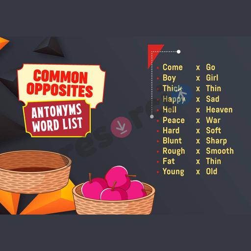 Picture of the product