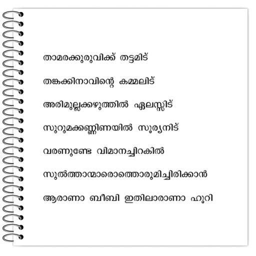 Picture of the product