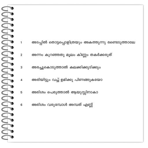 Picture of the product