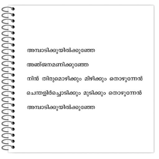 Picture of the product