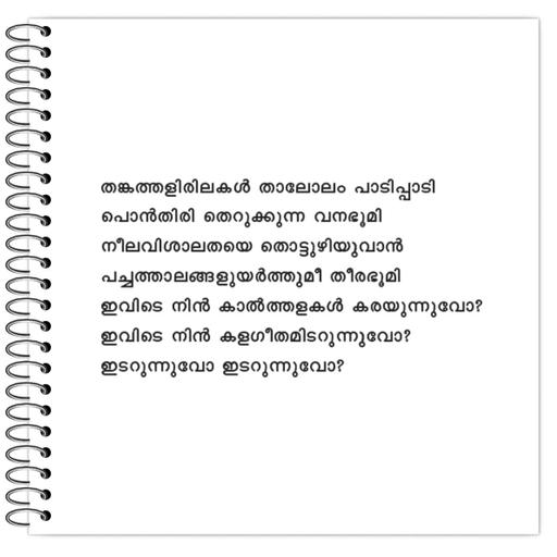 Picture of the product