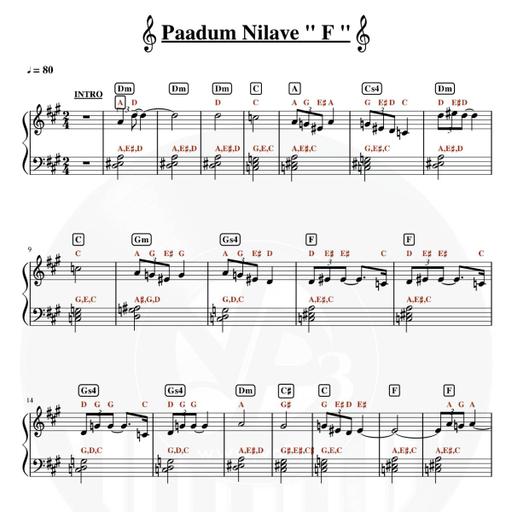 Picture of the product