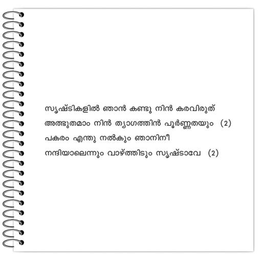 Picture of the product