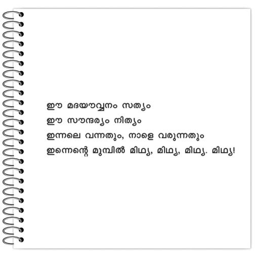 Picture of the product