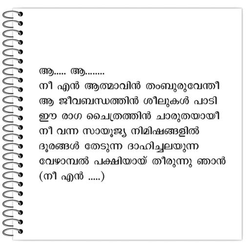 Picture of the product