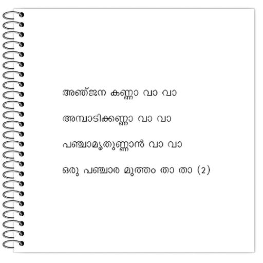 Picture of the product