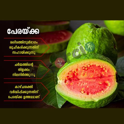 Picture of the product