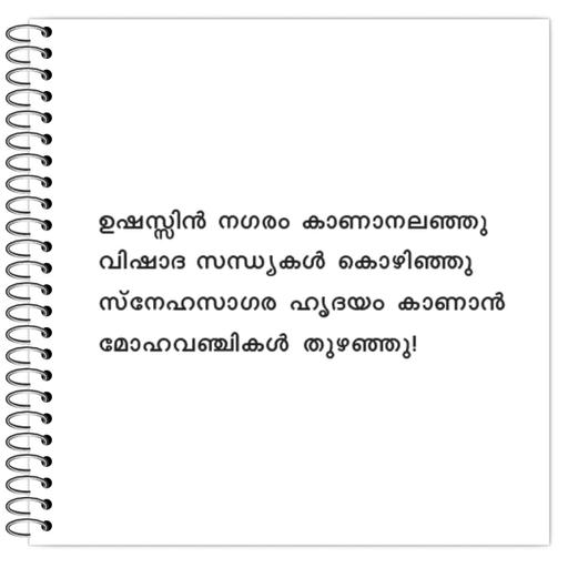 Picture of the product