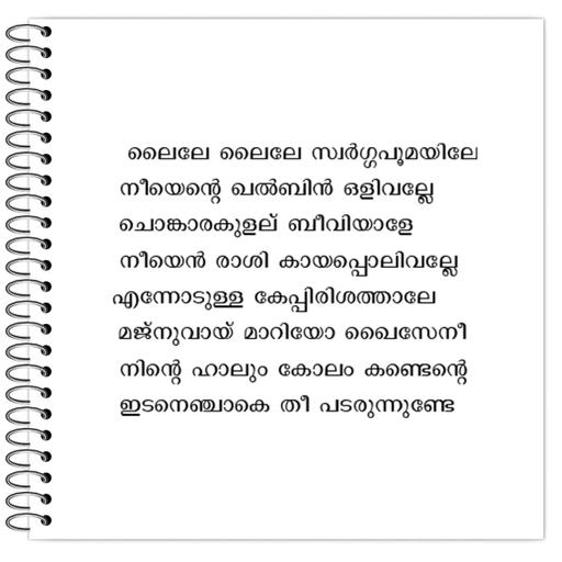 Picture of the product